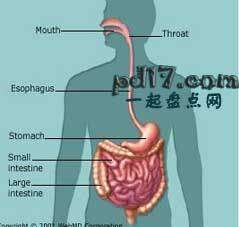 人体奥秘你所不知道的事Top1：人其实可以喷粪